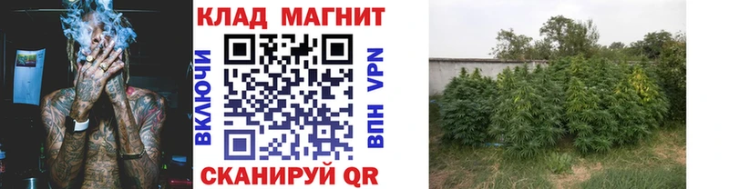 Купить закладку Амфетамин  Каннабис  СК  МЕФ  Гашиш  Кубинка