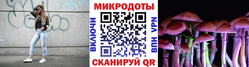 Галлюциногенные грибы мицелий  Купить закладки  Кубинка 