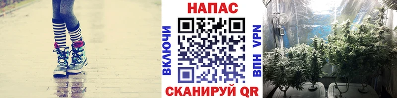 Купить закладки  Кубинка  МАРИХУАНА семена 